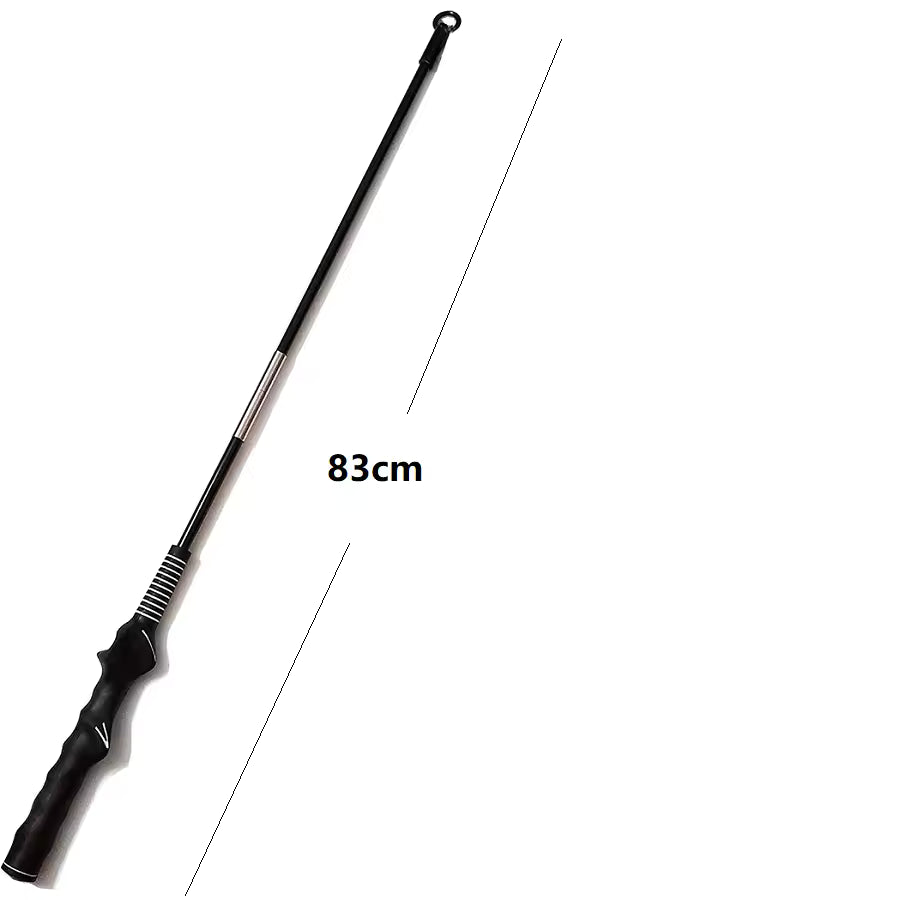 Interactive Flirt Pole for Dogs, Leather Bite Rag, Dog Chew Toys, Puppy Ball Toys for Teething Small and Large Dogs