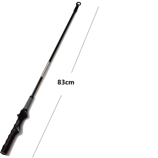 Interactive Flirt Pole for Dogs, Leather Bite Rag, Dog Chew Toys, Puppy Ball Toys for Teething Small and Large Dogs