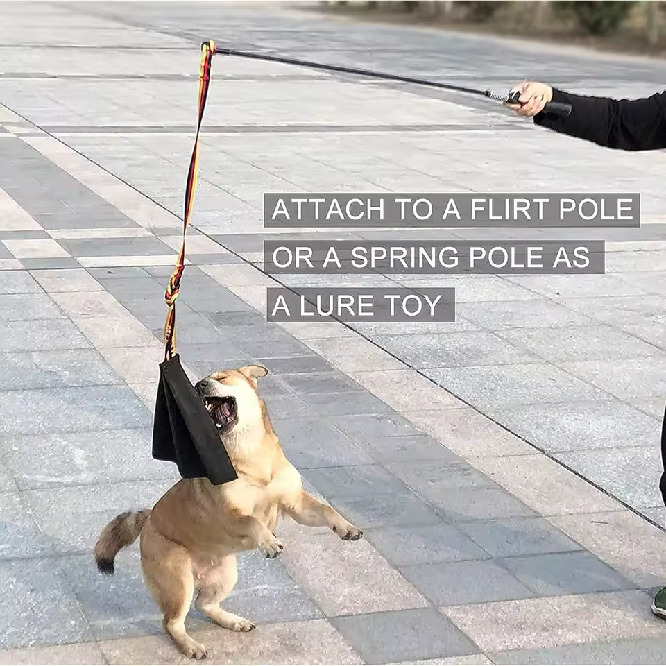 Interactive Flirt Pole for Dogs, Leather Bite Rag, Dog Chew Toys, Puppy Ball Toys for Teething Small and Large Dogs